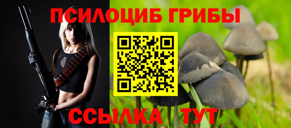 Псилоцибиновые грибы мухоморы Ростов Великий